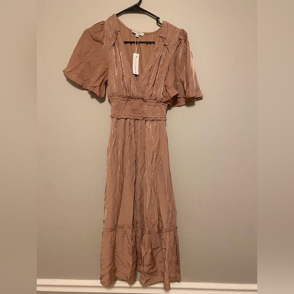 Baltic Born Dress | XS